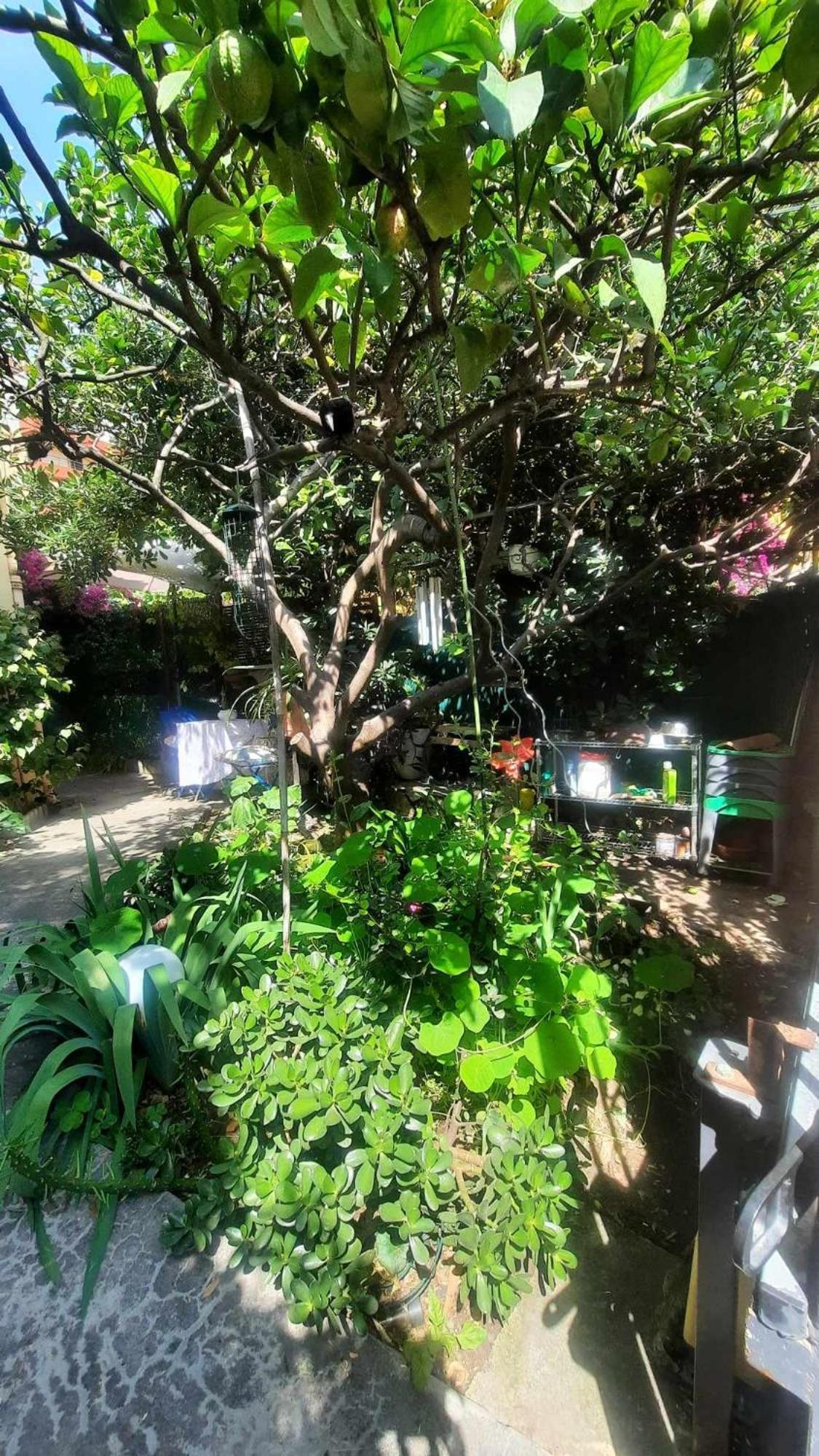 Apartamento Les Violettes Menton Exterior foto