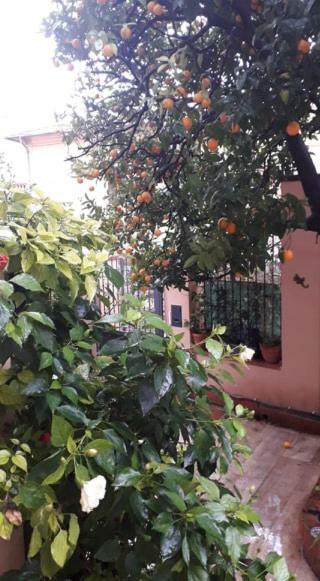 Apartamento Les Violettes Menton Exterior foto